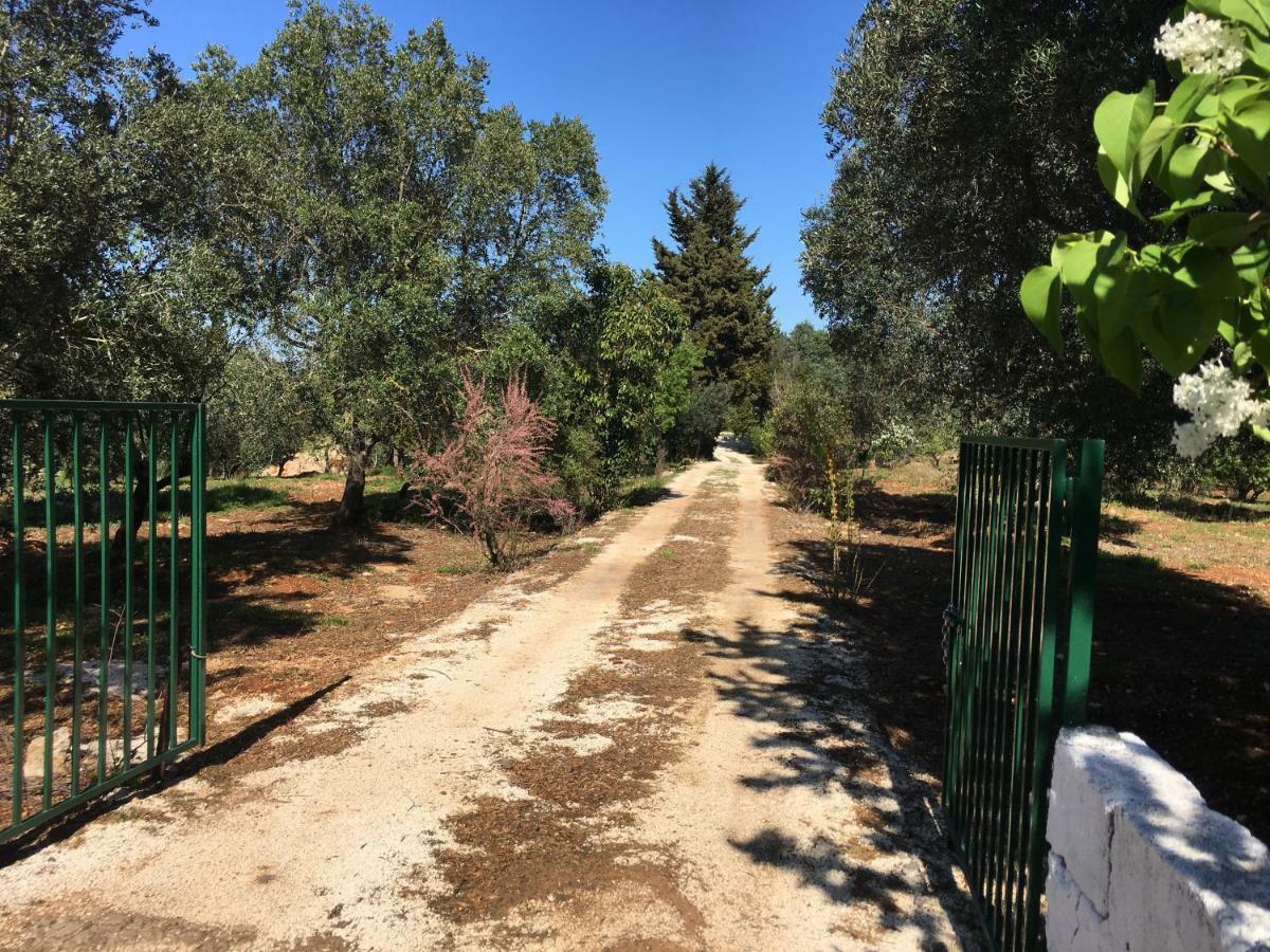 Trullo Giardino Sotto La Luna チェーリエ・メッサーピカ エクステリア 写真