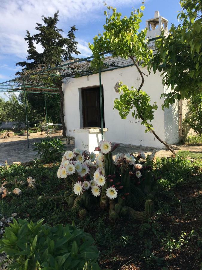 Trullo Giardino Sotto La Luna チェーリエ・メッサーピカ エクステリア 写真