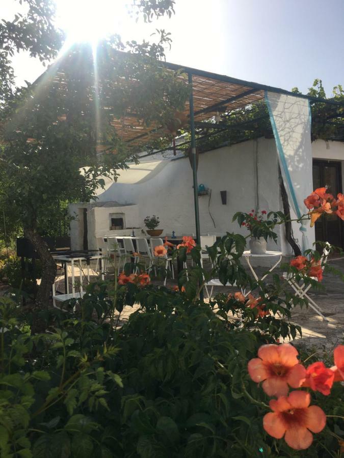 Trullo Giardino Sotto La Luna チェーリエ・メッサーピカ エクステリア 写真